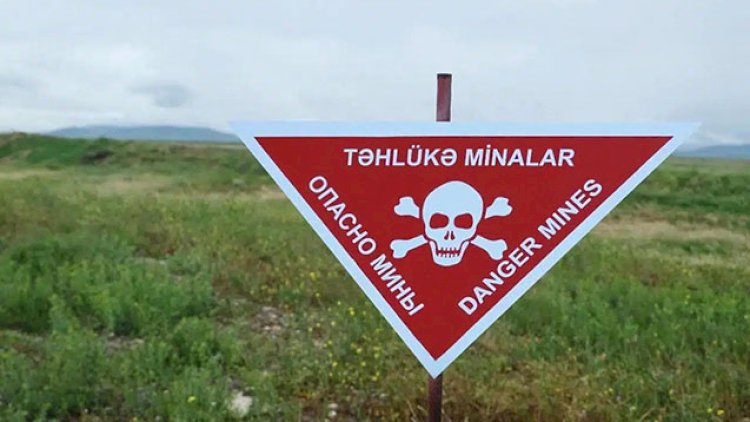    Azad edilən ərazilərdə daha 31 mina aşkarlandı   