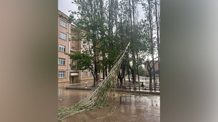    Naxçıvana güclü leysan yağdı, dolu düşdü - Foto   