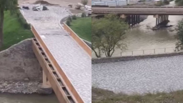    Laçın bulvarından yeni görüntülər - Video   