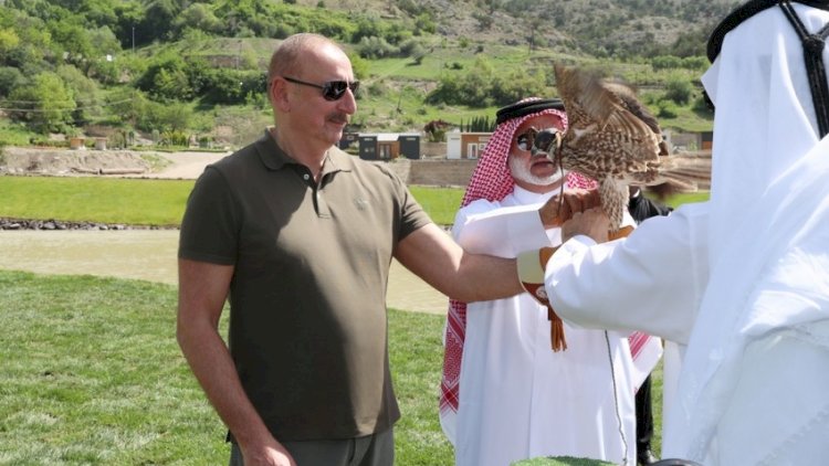    Laçın rayonunda Şərqi Qafqaz turları və şahin quşları təbiətə, müxtəlif növ balıqlar Həkəri çayına buraxıldı   
