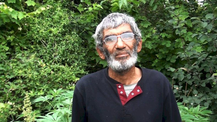    Neftçala sakininin həyətində 8 kilo marixuana   
