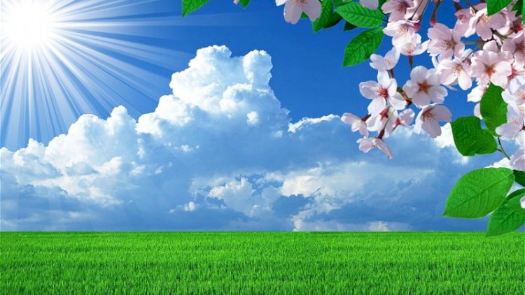    İyunda hava necə olacaq? - AYLIQ PROQNOZ   
