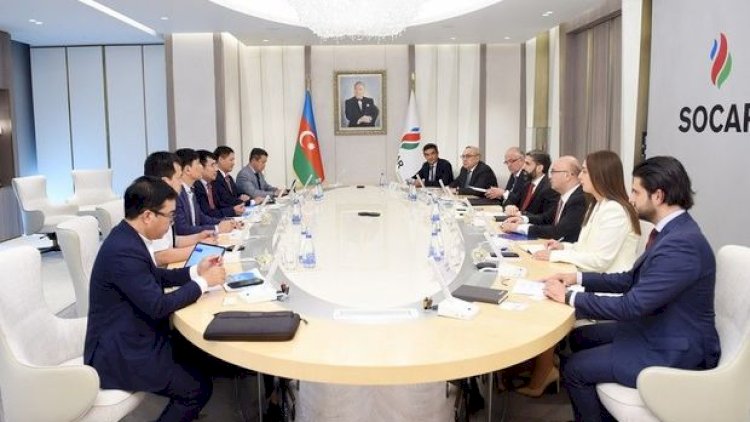    SOCAR-ın prezidenti “Petrovietnam” şirkətinin vitse-prezidenti ilə görüşdü - Fotolar   