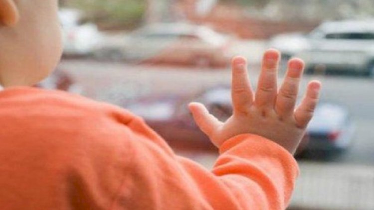    Azərbaycanda 4 ildə 391 uşaq övladlığa götürülüb   
