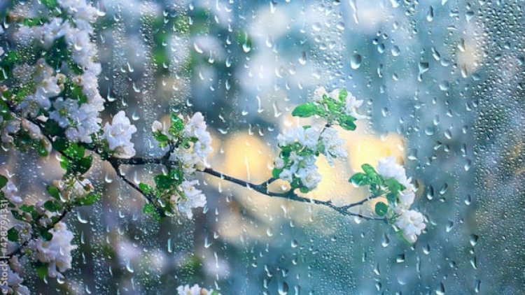    Gələn həftə hava necə olacaq?   - İyunun 5-dən 9-dək...