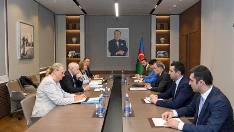    Ceyhun Bayramov AŞPA-nın Monitorinq Komitəsinin həmməruzəçiləri ilə görüşdü   