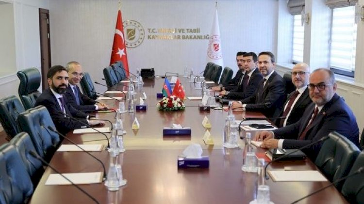    Mikayıl Cabbarov və Rövşən Nəcəf yeni nazirlə görüşdü   