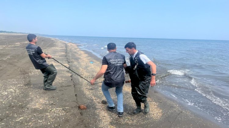    Su hövzələrindən 535 ədəd sintetik tor yığışdırıldı    