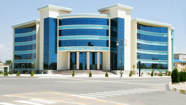    Naxçıvan Perinatal Mərkəzi rəhbərinin müavini işdən çıxarıldı   