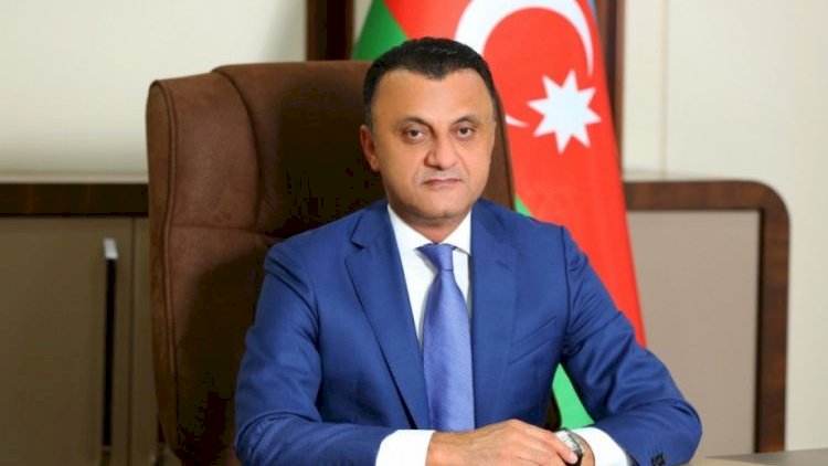    Yoxlamadan keçə bilməyən həkimlərin əlavələri kəsiləcək - TƏBİB sədri   