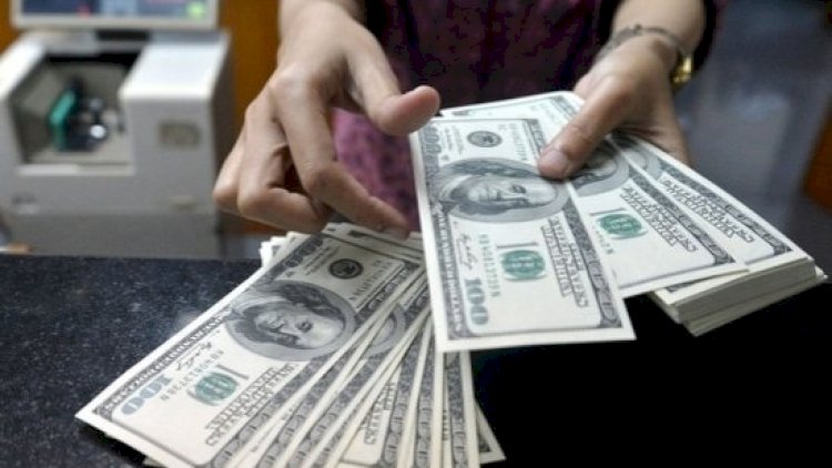    Azərbaycanda dollarla bağlı son 5 ildə   İLK