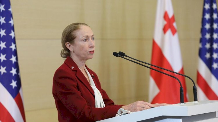    Amerikalı səfir Gürcüstanda inqilab hazırlayır - Deputat    