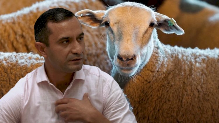    “Onun kəsdiyi qurban Allah tərəfindən qəbul olunmur” - İlahiyyatçıdan sərt açıqlama   