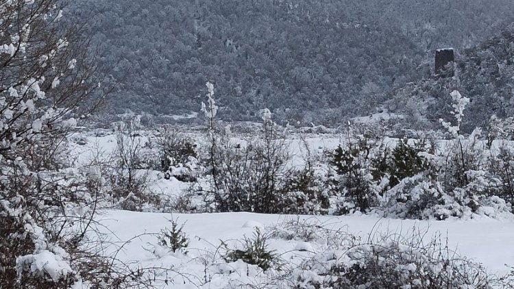    Sabahın HAVASI: Yağış, qar...   