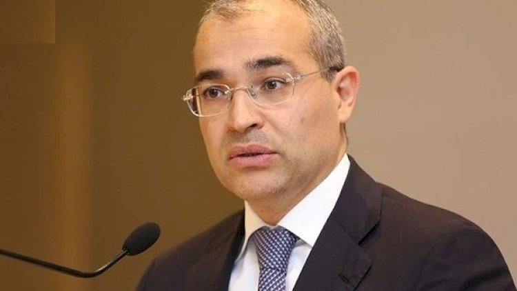    Şanlı Ordumuz qürur mənbəyimizdir - Mikayıl Cabbarov    