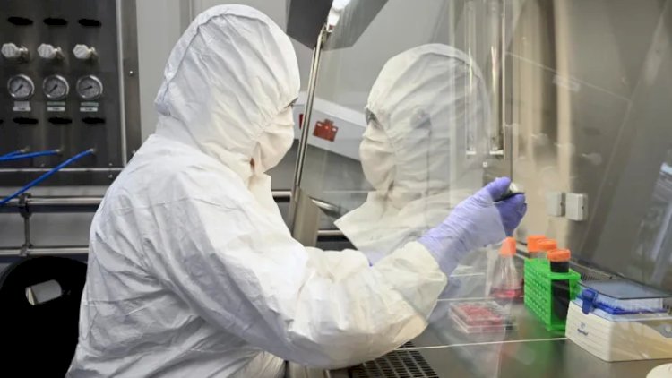    Dünyada yeni virus yayılır?   
