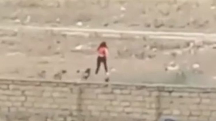    Masazırda küçə itləri qıza hücum etdi   - ANBAAN VİDEO