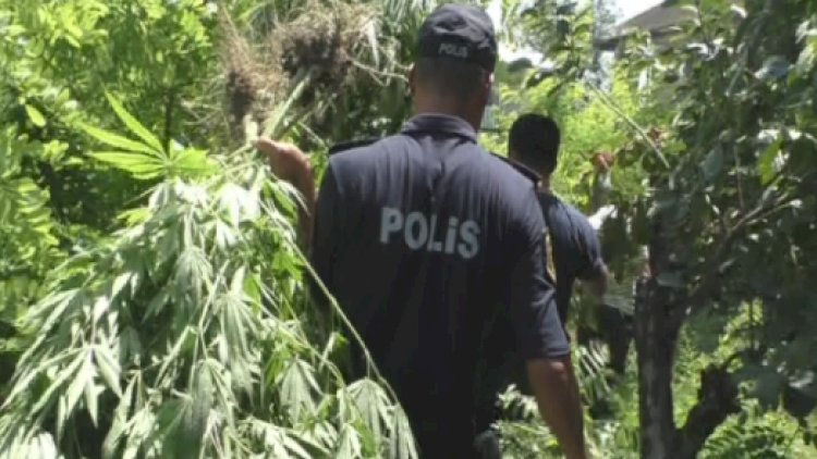    Ağdaşda əməliyyatlar: 25 nəfər saxlanıldı   