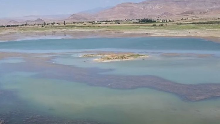    Sirab su anbarının içində taxıl əkildi - Video   