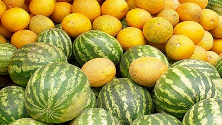    Tovuzda bir ailənin 3 üzvü qarpızdan zəhərləndi    