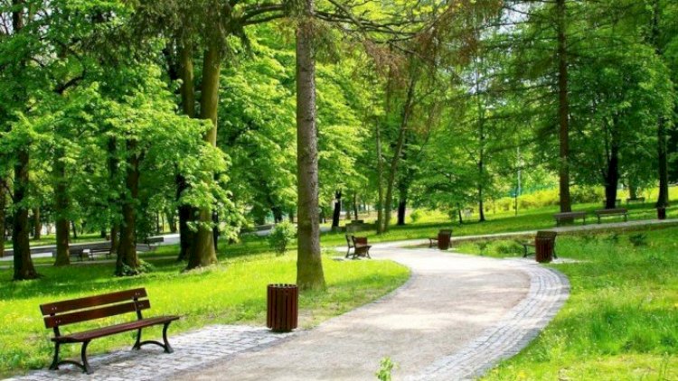    Həftəsonu milli parklarda gözlənilən hava   PROQNOZU