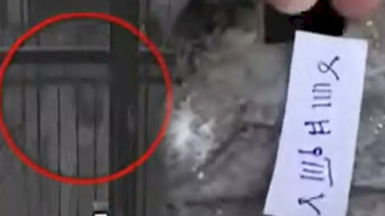    Bu adam qonşuları bezdirib: Cadu edir? - Video   