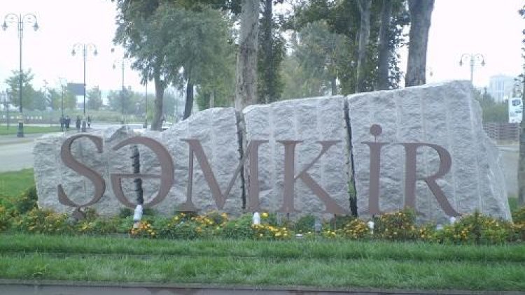    Şəmkirdə 60 yaşlı şəxs qətlə yetirildi   