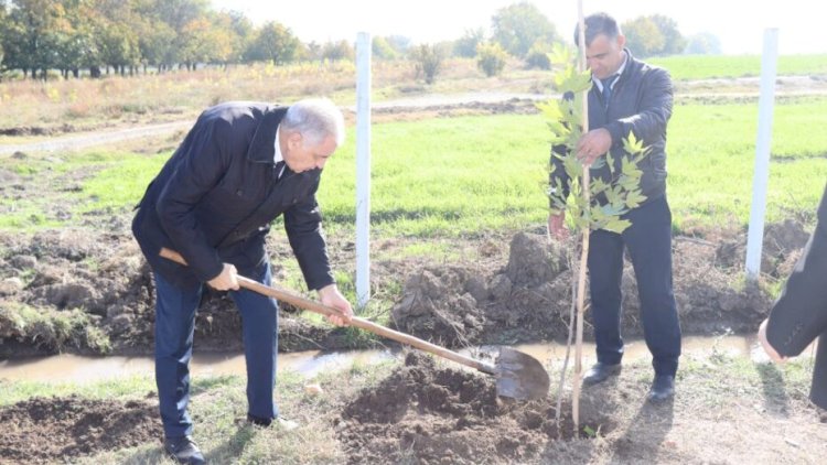    76 yaşlı icra başçısı da yola salınır    