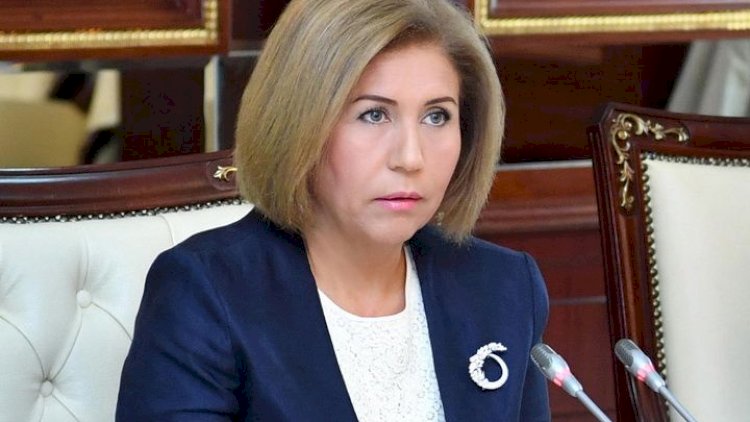    Abort üzrə ilk sıralarda deyilik - Komitə sədri   