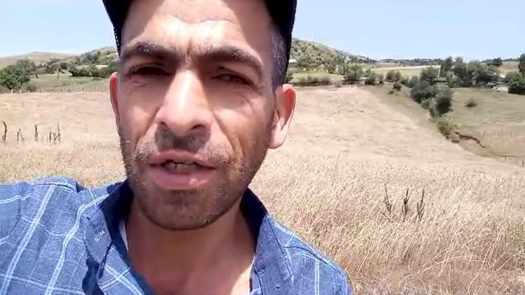    Lerikdən şikayət: “Buğdanı biçməyə texnika verilmir, taxıl məhv olur”   