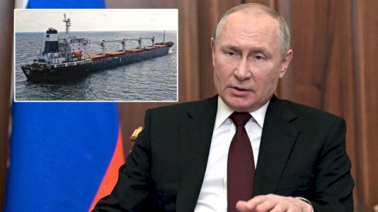    Putin Afrika ölkələrinə pulsuz taxıl vəd etdi    
