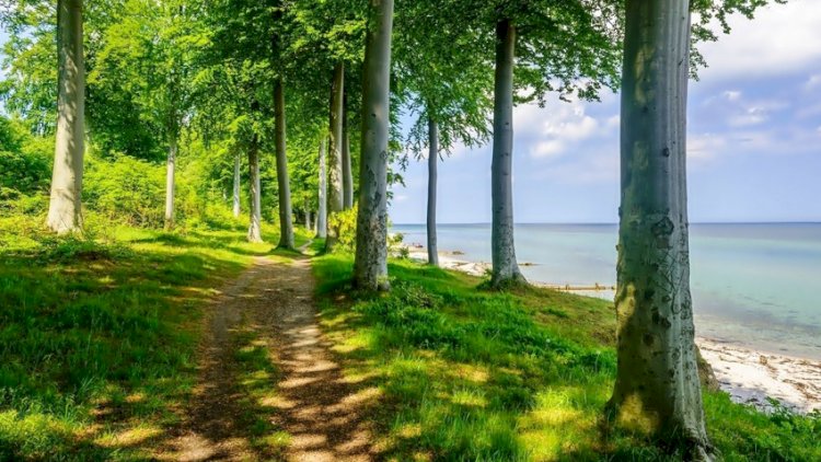    Həftəsonu milli parklarda gözlənilən hava şəraiti   