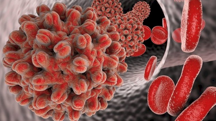    Bu il Azərbaycanda 934 nəfərdə hepatit C virusu aşkarlanıb - TƏBİB   