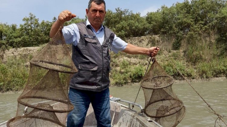    Qanunsuz ov edənlər cəzalandırıldı    
