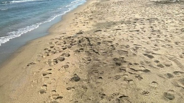    Abşeron çimərliklərində gözlənilən hava şəraiti açıqlandı   
