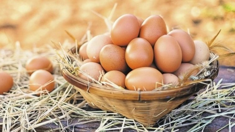   Hər gün yumurta yeyənlərə   XƏBƏRDARLIQ