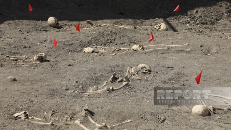    Şuşada növbəti kütləvi məzarlıq aşkarlandı   