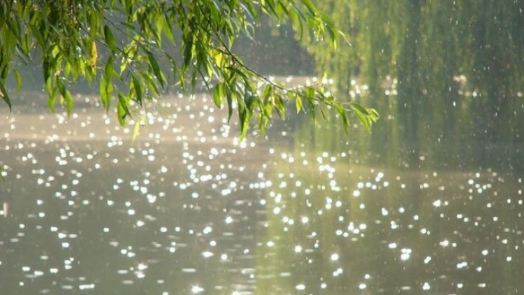   Sabahın HAVASI: Bakıda yağış yağacaq   