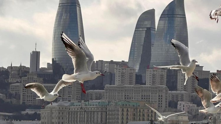    Dəhşətli istilər qayıdır: Sabah temperatur 39 dərəcəyə çatacaq   