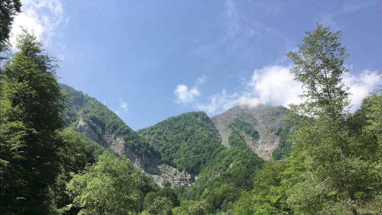    Dincəlmək üçün dağa çıxanlar: Azərbaycanda turistlərə kim “dağ çəkir”?   