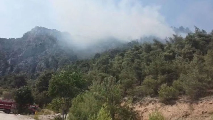    Türkiyənin daha bir bölgəsində meşə yanır   