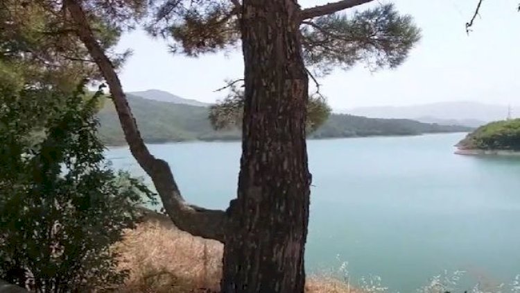    Ermənistan Sərsəngi 30 ildən çoxdur qanunsuz istismar edir - Video   