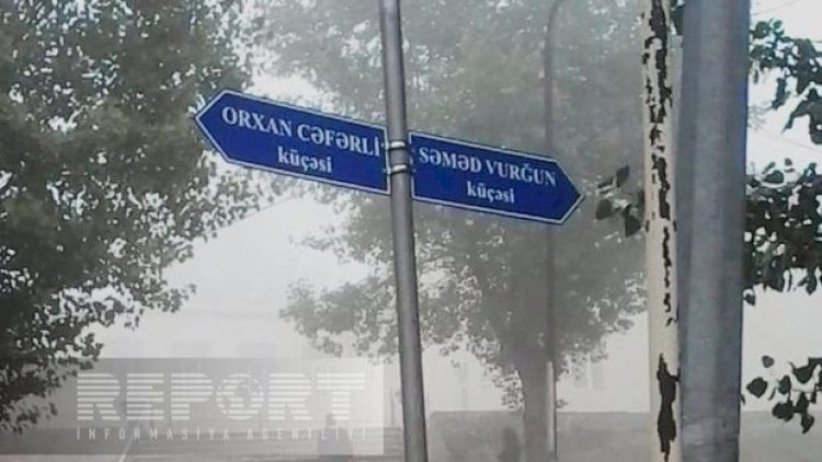    Daşkəsəndə daha bir küçəyə şəhid adı verildi - Fotolar   