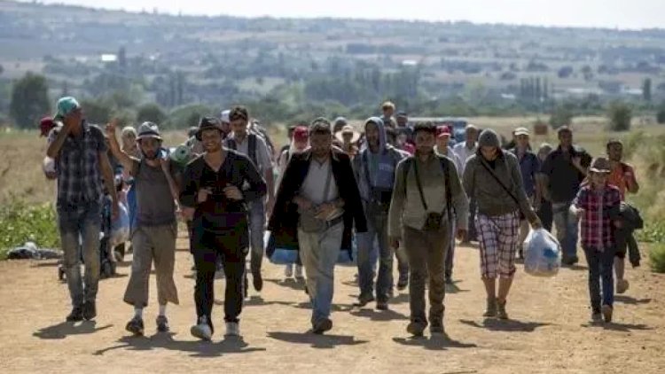    Avropada sığınacaq: Müraciət edənlərin sayı artıb   