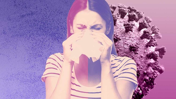    Soyuqlar düşəndə immuniteti necə möhkəmləndirək?   