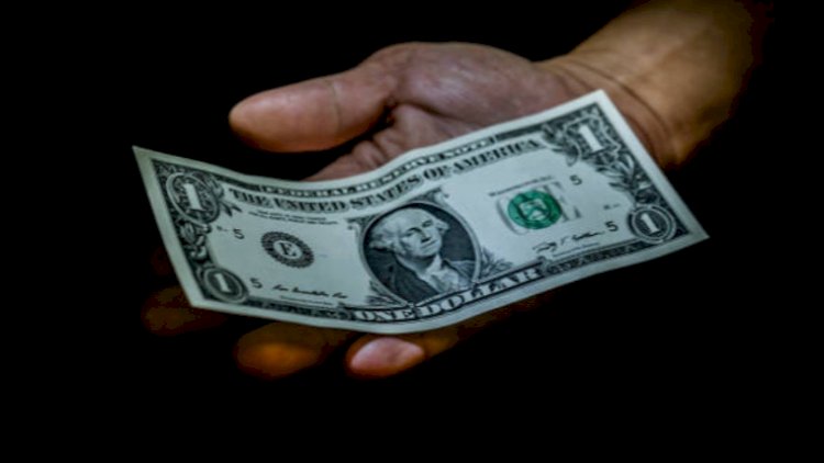    Həbsxanaya düşmək üçün bankdan 1 dollar oğurladı    