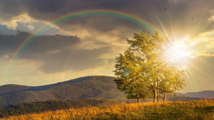    Sabah 29 dərəcə isti olacaq   