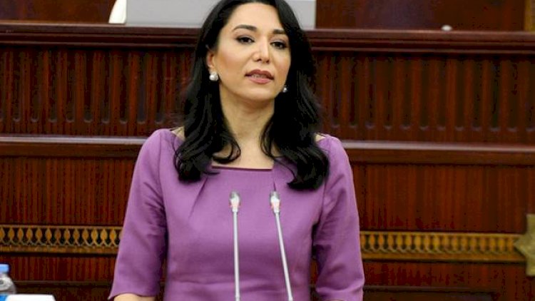    Ombudsman Qarabağ ermənilərinə müraciət etdi   