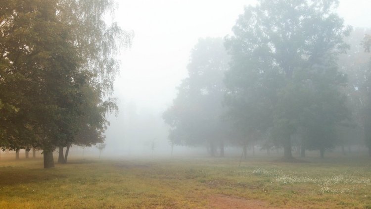    Bakıda duman, rayonlarda yağış, dolu, qar -   Sabahın hava proqnozu