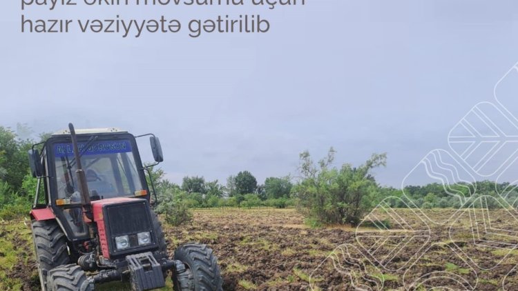    416 hektar meşə fondu ərazisi hazır vəziyyətə gətirilib   